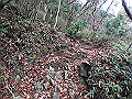 kunimi09_thumb.png