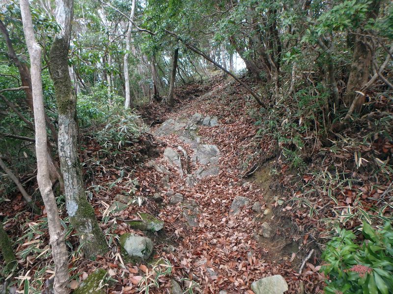 kunimi10.jpg