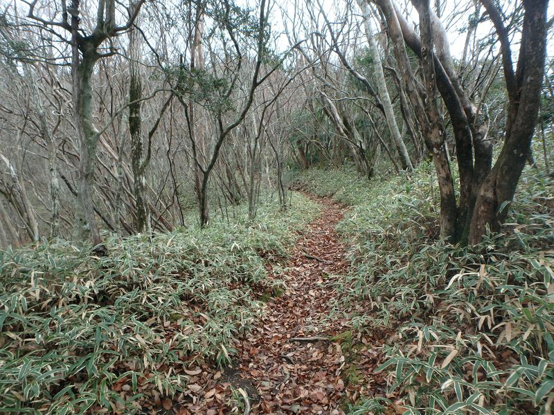 kunimi12.jpg