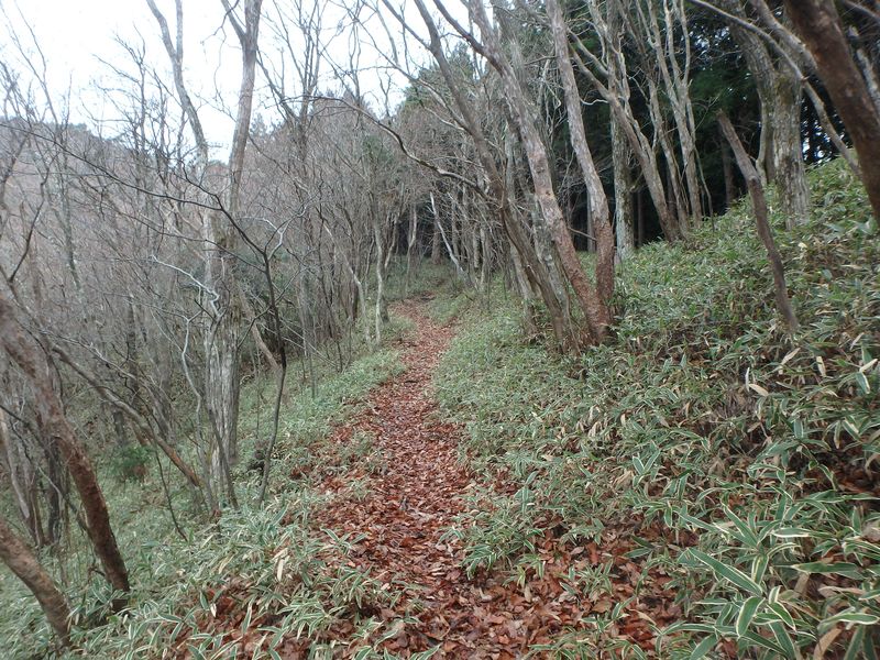 kunimi14.jpg