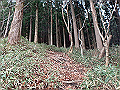 kunimi15_thumb.png
