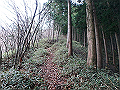kunimi16_thumb.png