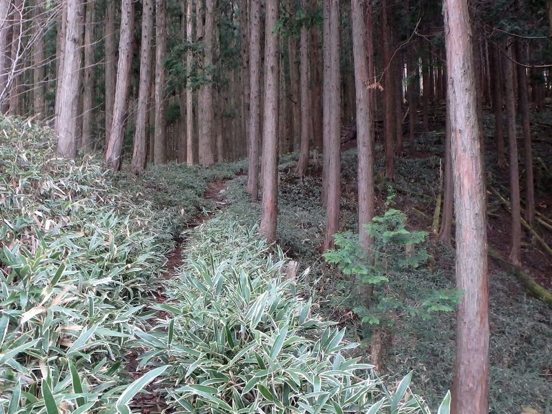 kunimi17.jpg