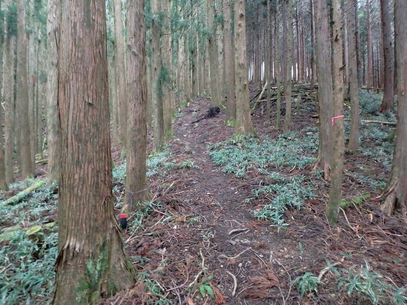 kunimi18.jpg