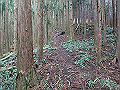 kunimi18_thumb.png