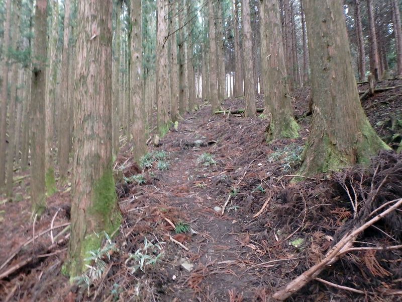 kunimi19.jpg