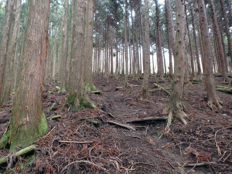 kunimi20.jpg
