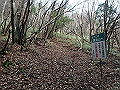 kunimi22_thumb.png