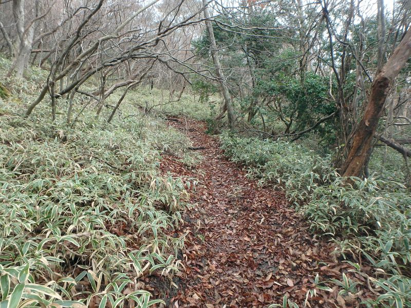 kunimi24.jpg
