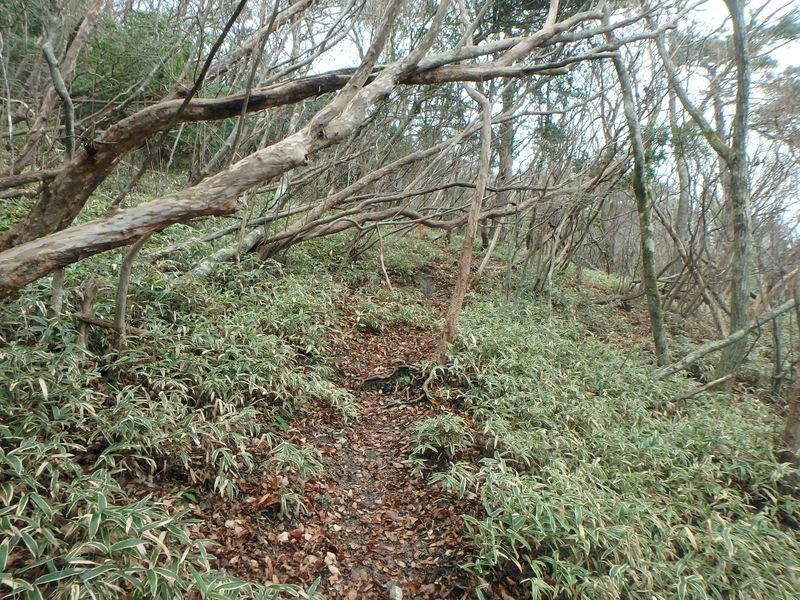 kunimi25.jpg