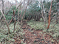 kunimi26_thumb.png