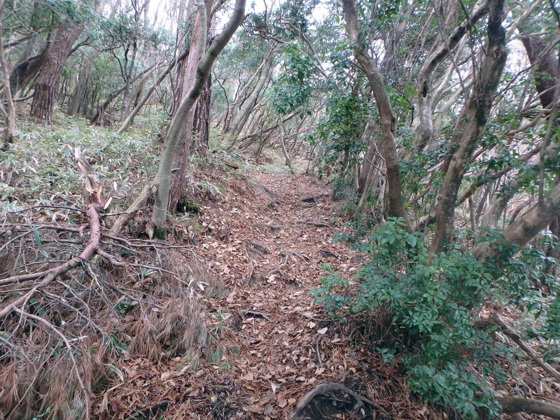 kunimi27.jpg