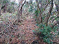 kunimi27_thumb.png