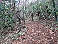 kunimi28_thumb.png