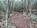 kunimi30_thumb.png