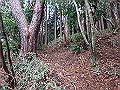 kunimi31_thumb.png