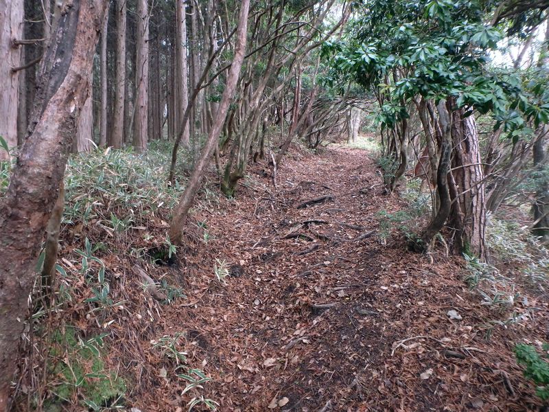 kunimi32.jpg