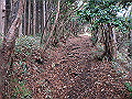 kunimi32_thumb.png