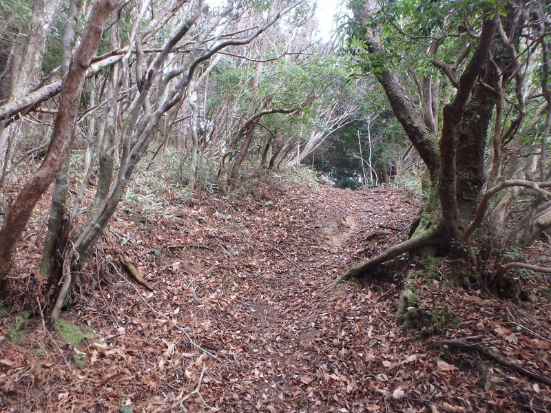 kunimi33.jpg