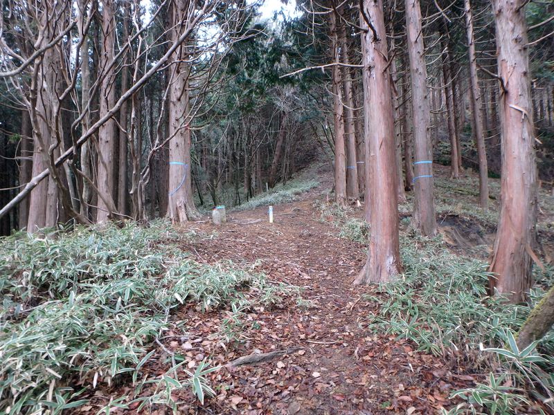 kunimi34.jpg
