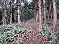 kunimi34_thumb.png