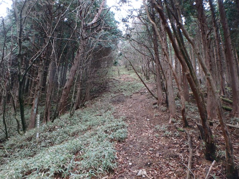 kunimi35.jpg