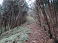 kunimi35_thumb.png