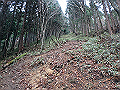 kunimi36_thumb.png