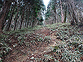 kunimi37_thumb.png