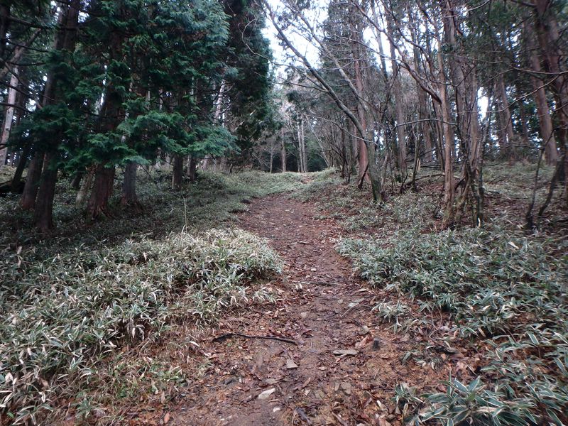 kunimi38.jpg