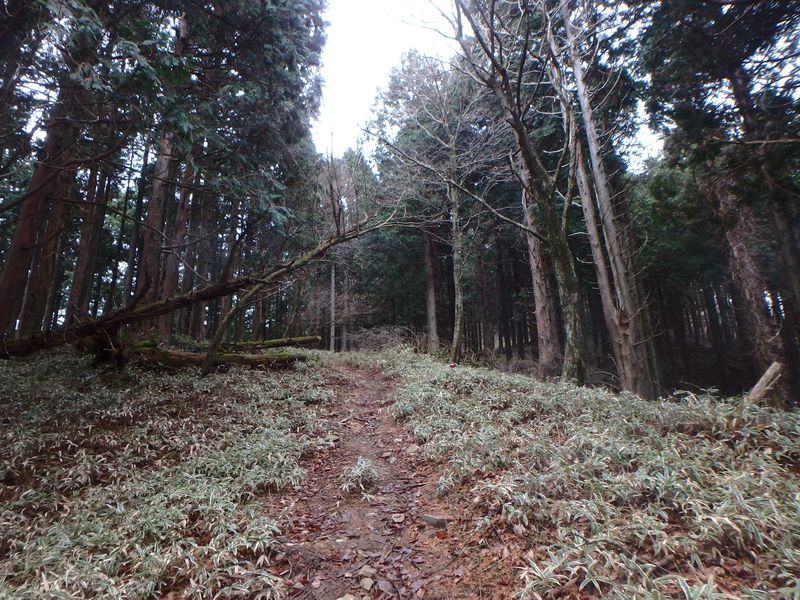 kunimi39.jpg