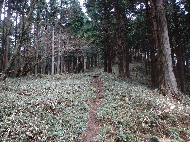 kunimi40.jpg