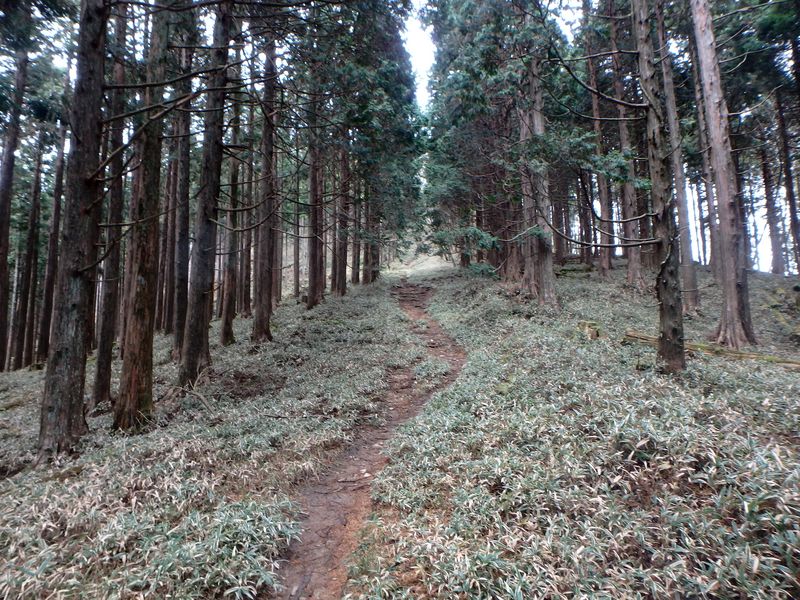 kunimi41.jpg
