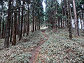 kunimi41_thumb.png