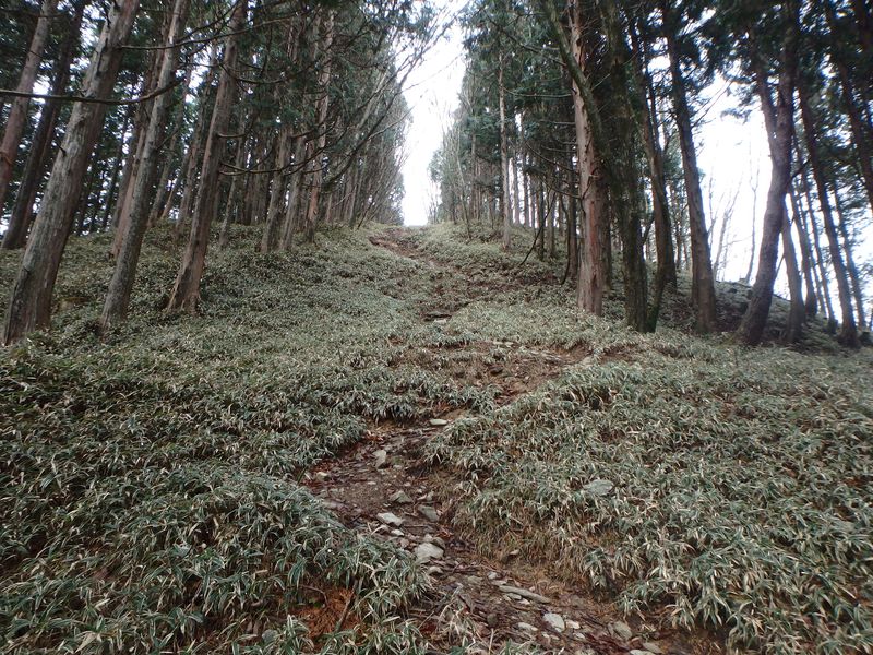 kunimi42.jpg
