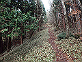 kunimi44_thumb.png