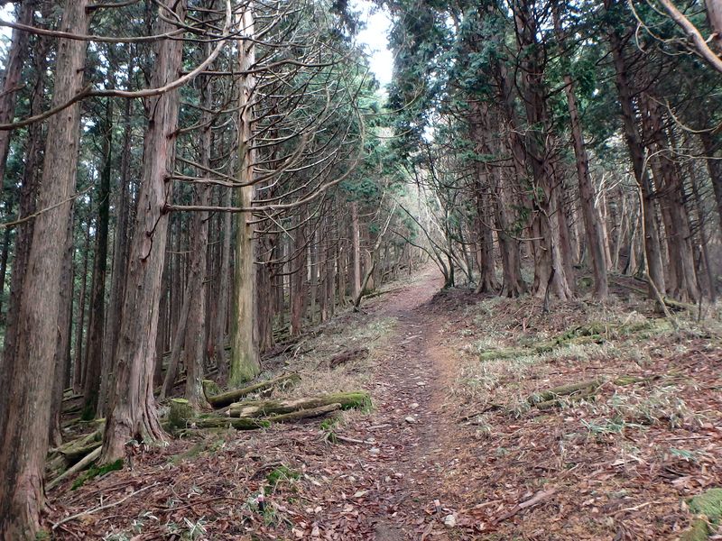 kunimi46.jpg