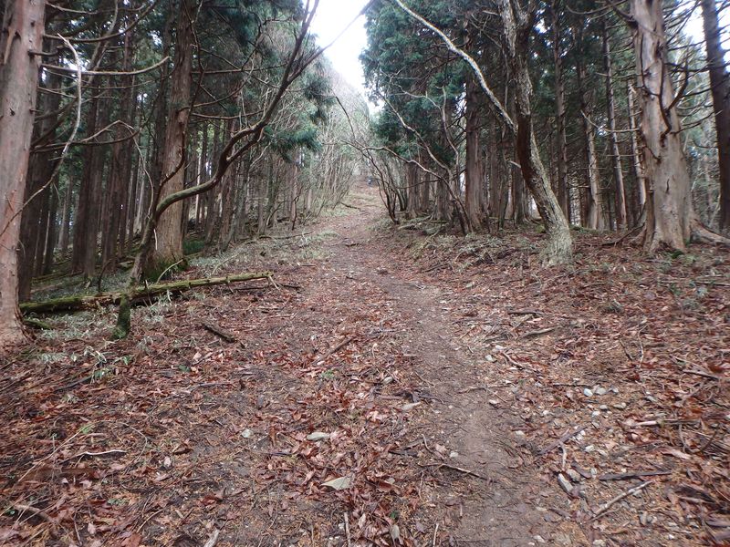 kunimi48.jpg