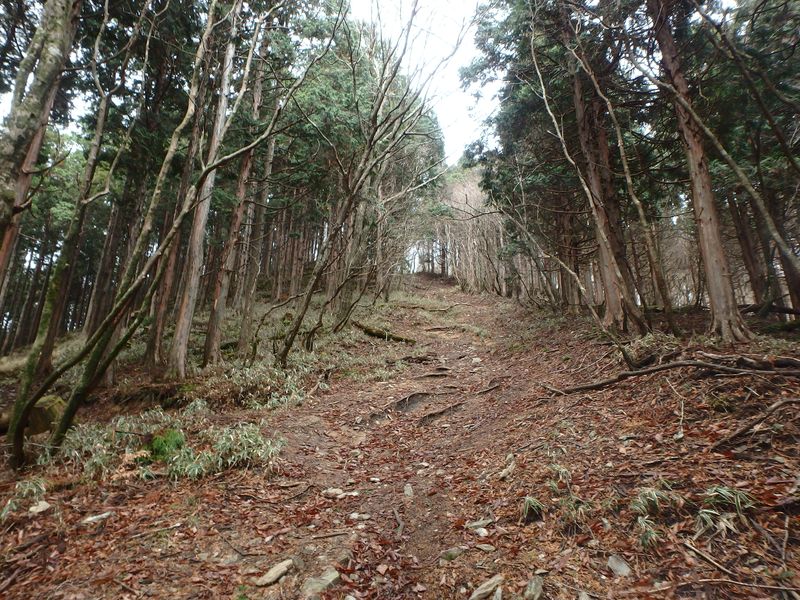 kunimi49.jpg