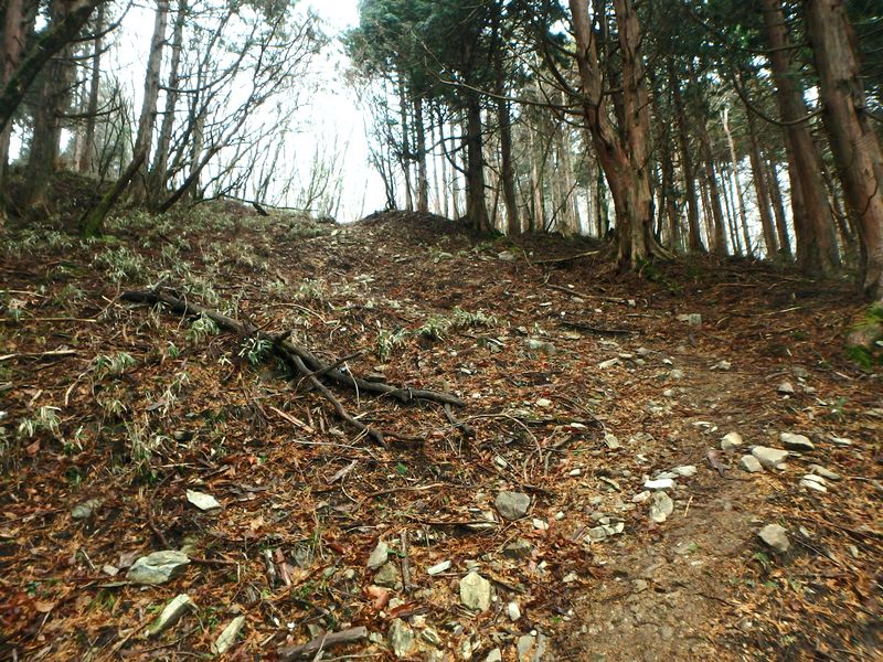kunimi50.jpg