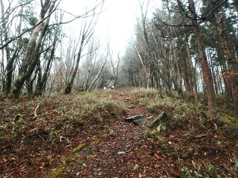 kunimi51.jpg