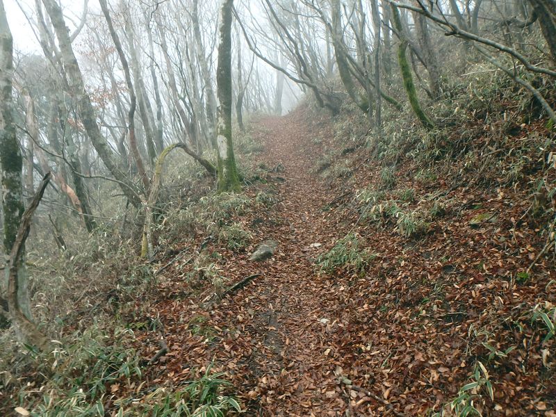 kunimi54.jpg