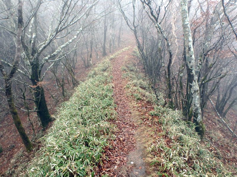 kunimi57.jpg