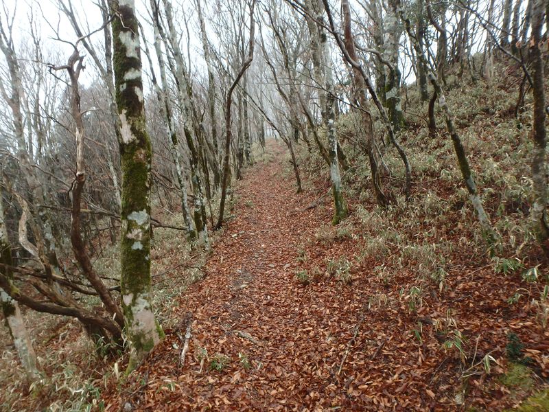 kunimi58.jpg