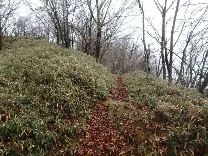 kunimi67.jpg