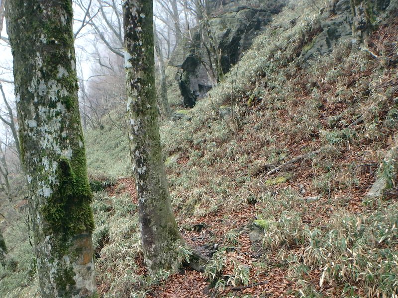 kunimi70.jpg