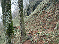 kunimi70_thumb.png