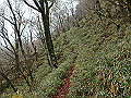 kunimi71_thumb.png