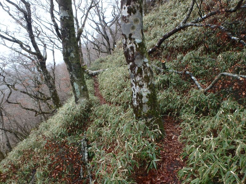 kunimi72.jpg