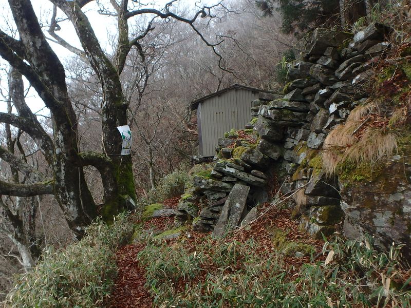 kunimi73.jpg